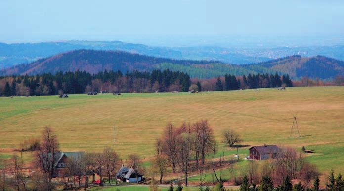 Na tropach dawnych gór Skałki Łężyckie Sawanna w Górach Stołowych?