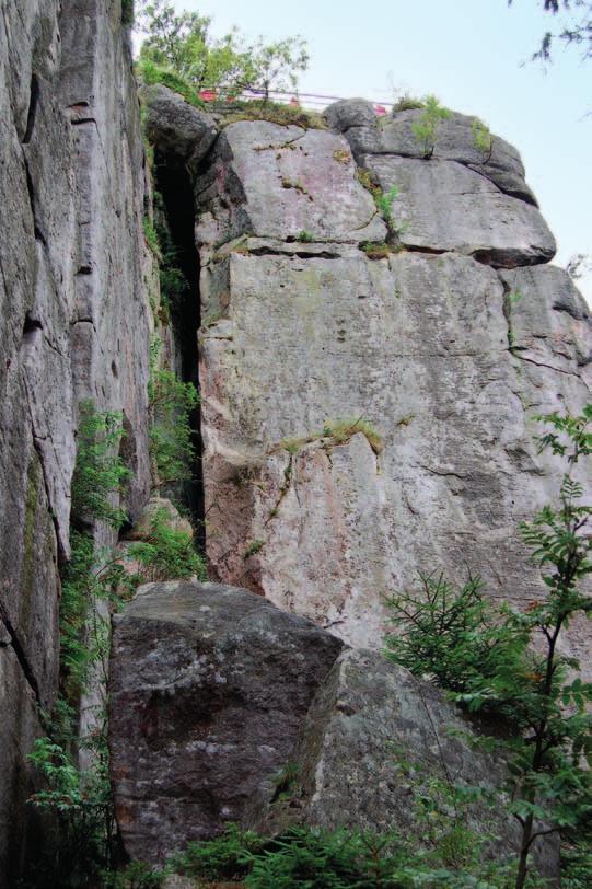 Środkową, najgrubszą, stanowi rzadko spękany piaskowiec o warstwowaniu zbliżonym do poziomego, tworzący ściany skalne Szczelińca Wielkiego (ryc. 86).