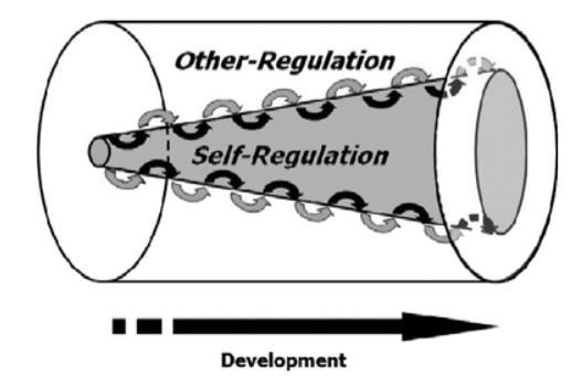 Od czego zależy zdolność samoregulacji? Sameroff, A. (2010).