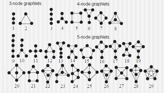 Sieci biologiczne Analiza sieci biologicznych może przykładowo polegać na: porównywaniu całych sieci wygenerowanych dla różnych organizmów lub na podstawie różnych eksperymentów porównywaniu