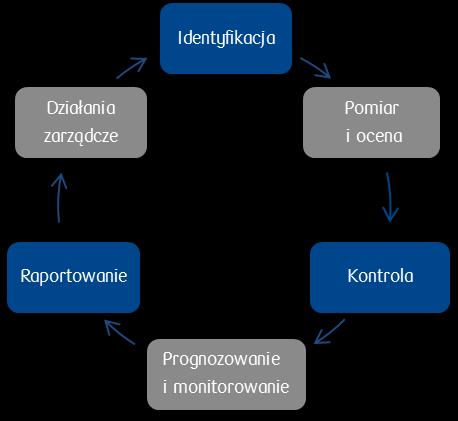 CEL ZARZĄDZANIA RYZYKIEM Celem zarządzania ryzykiem poprzez dążenie do utrzymywania poziomu ryzyka w ramach przyjętego poziomu tolerancji jest: ochrona wartości kapitału akcjonariuszy, ochrona