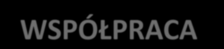 Region Morza Bałtyckiego Europa Środkowa programy transnarodowe programy transgraniczne Czechy Polska Litwa - Polska Brandenburgia Polska Meklemburgia Pomorze