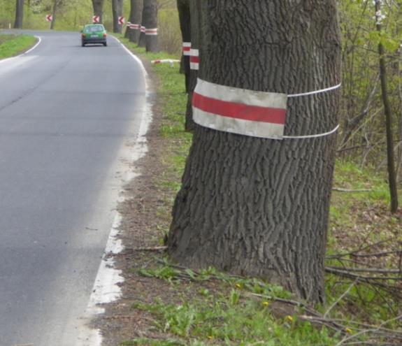 5,6-6,0 0,28 Uwaga organu: Wskazuje się na potrzebę rozważenia, czy na odcinku