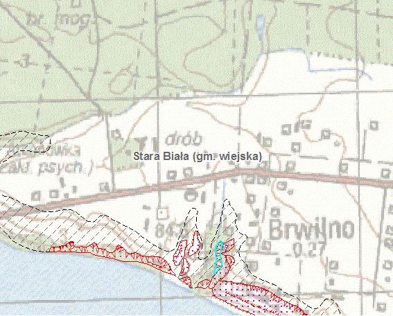 Rysunek 9.Lokalizacja osuwisk i terenów zagrożonych osuwiskami na terenie gminy Stara Biała Źródło: SOPO, http://geoportal.pgi.gov.