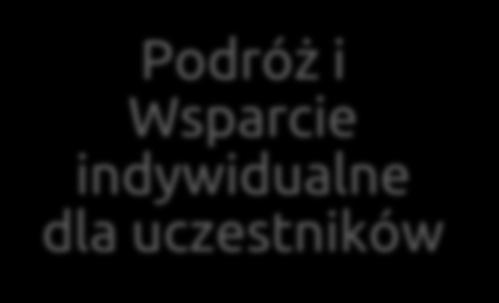 wsparcie indywidualne