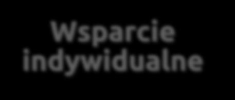 Koszty ryczałtowe Wsparcie organizacyjne