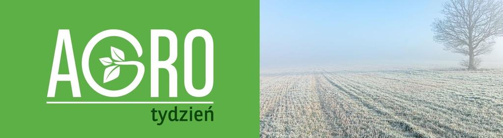 Eksperci USDA zwiększyli prognozy zużycia kukurydzy w sezonie 2017/18, co przełożyło się na spadek zapasów końcowych. Dla pszenicy z kolei szacunki zbiorów skorygowano w górę.