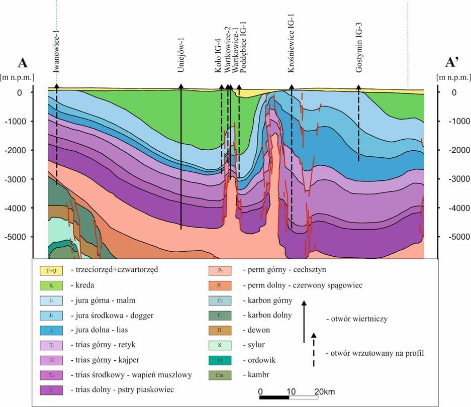 Analiza parametrów geologicznych i hydrogeotermalnych dolnokredowego i dolnojurajskiego zbiornika geotermalnego w rejonie niecki