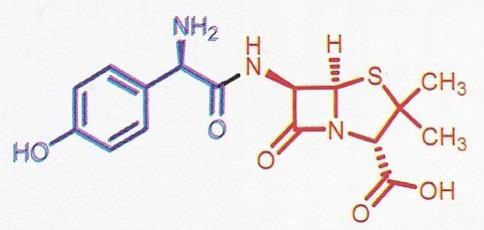 Porównanie struktur Amoksycylina