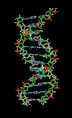 chemiczna DNA