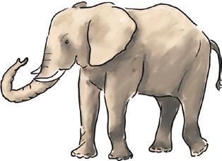 1. Ola, Paweł, Ania i Maciek rysowali zwierzęta afrykańskie: żyrafę, słonia, geparda i strusia.