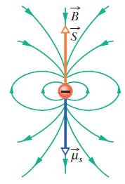 Ԧ S W zewnętrznym polu magnetycznym elektron ustawia się zgodnie z kierunkiem B, ale jego spin ԦS ma przeciwny zwrot.