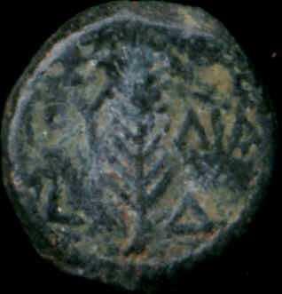 15 Prutah, Waleriusz Gratus (Hendin 645) Awers: Wieniec, TIB/KAI/CAP Rewers: liść palmy, IOY/ΛIA, L Fot.