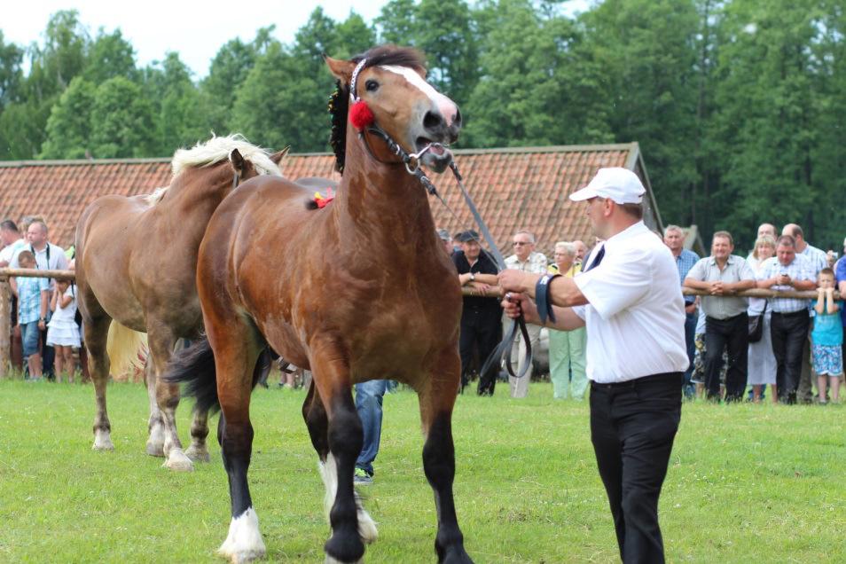 Podlasiu