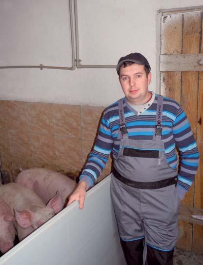 Żyto hybrydowe - wysoka jakość paszy Zalety żyta hybrydowego w żywieniu świń: Zdrowy surowiec paszowy - niska zawartość mykotoksyn fuzaryjnych (DON, ZEA) Wysoki udział fruktanów zawartych w ziarnie