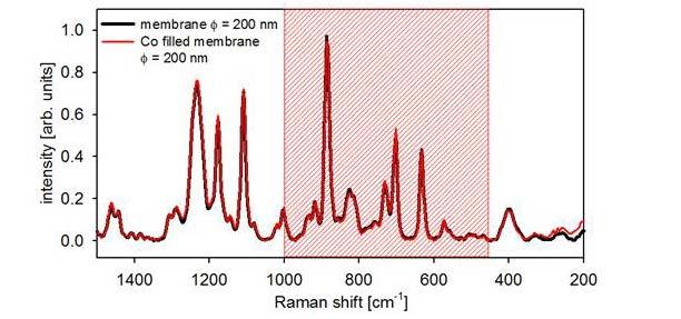 Widma Ramana zmierzone dla membrany o średnicy φ = 200 nm z pustymi porami (krzywa czarna) i wypełnionej Co (krzywa czerwona).