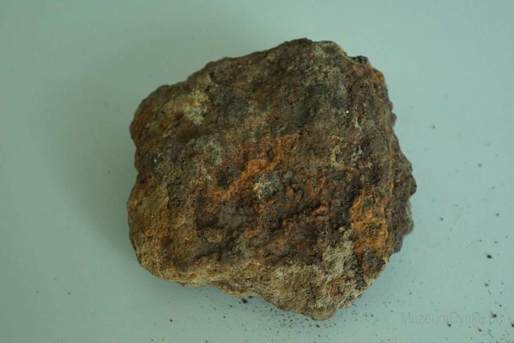 (Zdjęcie nr. 2) Ruda Darniowa Minerał pochodzi ze zbiorów pani dr Beaty Smiei-Król z Uniwersytetu Śląskiego za co jej serdecznie dziękujemy.