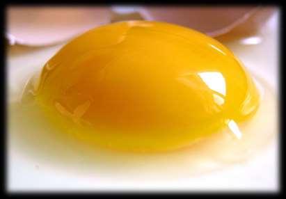Białko jaja kurzego brak ovoalbuminy lub niewielkie jej ilości, mierzone w pikogramach (1,0 10 12 grama); ilość białka
