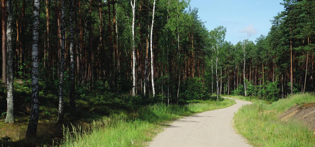 OKOLICA Liczne Rozwinięta infrastruktura atrakcje w sąsiedztwie Wokół Osady Świerkowy Bór znajduje się wiele atrakcji, które sprawiają że jest ona idealnym miejscem rodzinnego wypoczynku.