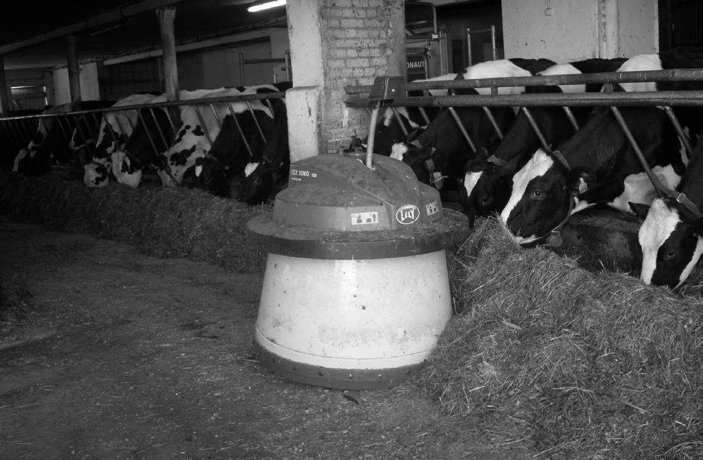 Najwięcej było pierwiastek i krów w trzeciej laktacji, a krowy od 6. do 9. laktacji stanowiły 18,1%. Po dwóch latach wzrósł udział krów młodszych, w 1.-3. laktacji, z 63,7 do 70,8%.