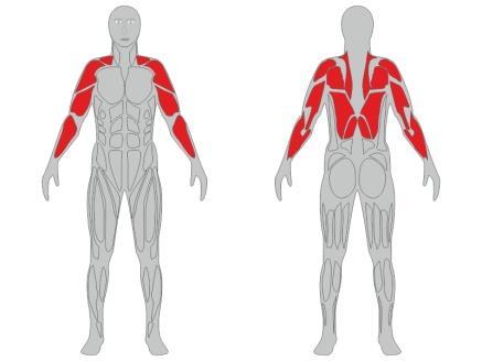 Informacje techniczne o urządzeniu fitness: Nazwa urządzenia: Wyciąg górny i twister na pylonie Numer katalogowy: FL21 Zgodność z normami: PN-EN 16630:2015 Certyfikat: Na zgodność z norma PN-EN