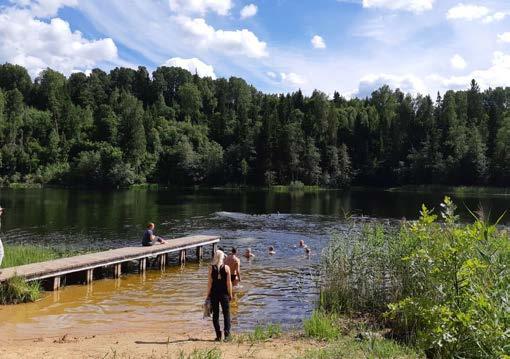 Peateema Rattad olid sel matkal asendamatud. Tavapärane vaatepilt augustikuises metsas.