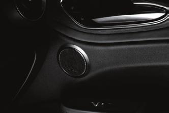 WYBRANE ELEMENTY WYPOSAŻENIA Wyposażenie standardowe/cennik opcji dodatkowo płatnych AUDIO BUSINESS 1) STELVIO SUPER Radio Alfa Connect 6,5" 6,5" wyświetlacz FM/AM-radio bluetooth, Audio Streaming