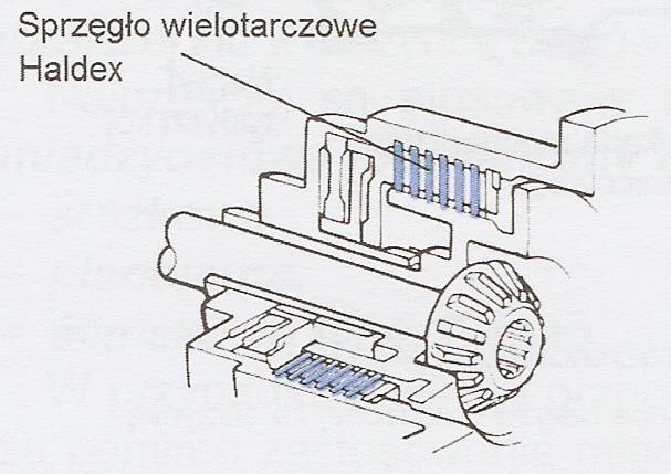 1 ślimacznice 2 koła