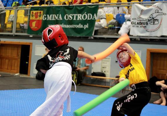 Popularyzacja sportów walk Wschodu wśród dzieci i młodzieży - karate, judo Stowarzyszenie GLADIUS - kwota 3.