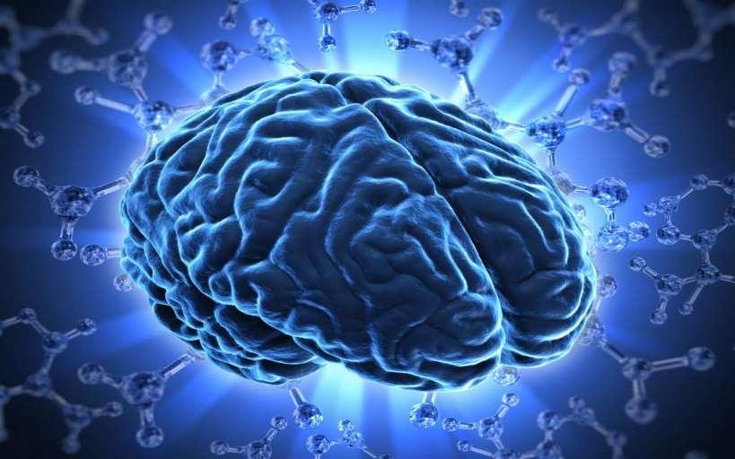 Neurobiologia a neurodydaktyka zainteresowania