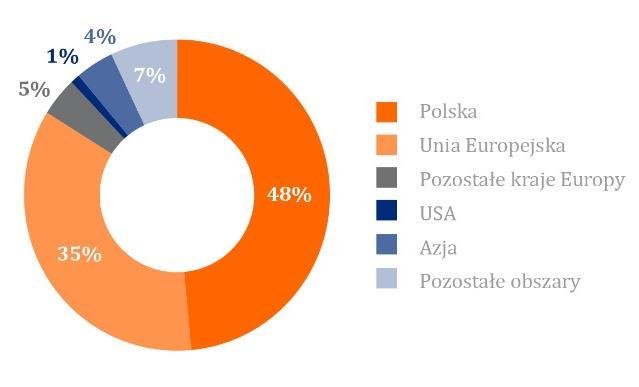 Analiza wybranych danych finansowych Wykres 18 Przychody ze sprzedaży wg obszarów geograficznych za 2016 rok Wykres 19 Przychody ze sprzedaży wg rodzajów produktów za 2016 rok Sprawozdanie z