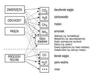 Rys. 2. Schemat powstawania zanieczyszczeń Źródło: http://www.itep.edu.pl/nauka/konferencje/ko20150930/5.pdf Według Galloway i in.