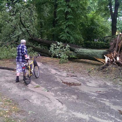 14-12-18 2/10 miasta normalną komunikację, a tam gdzie to niemożliwe, komunikację zastępczą.