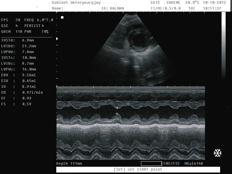 Połączenie zaawansowanych technologii ultrasonografii B/W, obszernych pakietów oprogramowania i profesjonalne głowice ultrasonograficzne