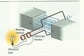 3. Model