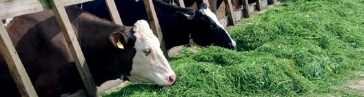 Z OCENĄ SUKCES W CENIE ZMIANY W CENNIKU 2018 Polska Federacja Hodowców Bydła i Producentów Mleka na bieżąco monitoruje potrzeby hodowców, oraz aktualne trendy na rynkach rolnych, szczególnie w