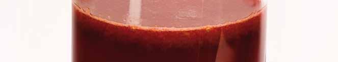 150 g marchewki 150 g czerwonego buraka 150 g obranych pomidorów 150 g czerwonej papryki 150 g kiszonego ogórka 2 ząbki czosnku 1 pęczek natki pietruszki ½ cytryny ½ ł/h soli 1,3 l wody 2 ząbki