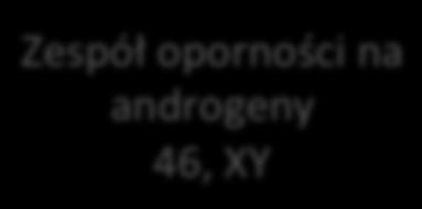 androgeny 46, XY