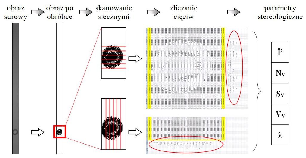 Stereologia PSO przeprowadzona została w obszarze zaznaczonym ramką w dolnej części aparatu. Rysunek 8a i 8b przedstawia typowe przebiegi zmian PSO dla zjawisk pulsacji. Rysunek 8c.