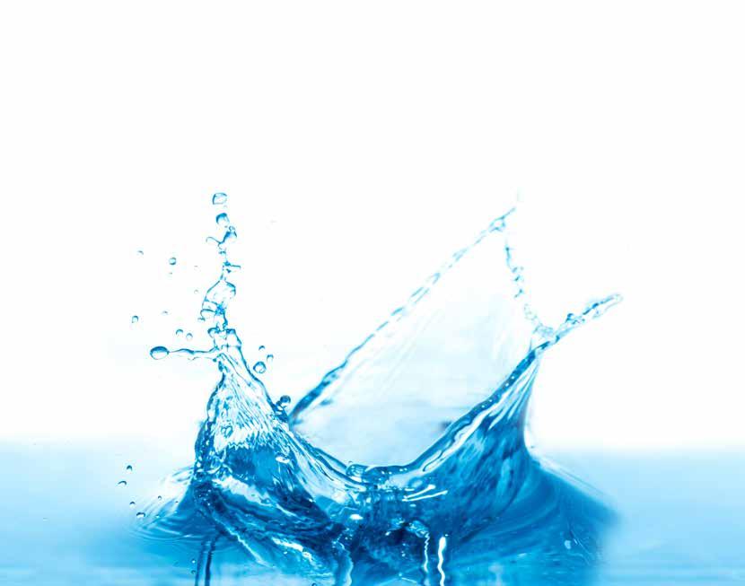 KONDYCJONER WODY Opakowania: 20l; 5 l Składniki pokarmowe % m/m g/l Azot całkowity (N) 0,4 4,0 Azot amidowy (NH₂) 0,4 4,0 Pięciotlenek fosforu (P₂O₅) rozpuszczalny w wodzie 2,1 21,0 Skuteczność