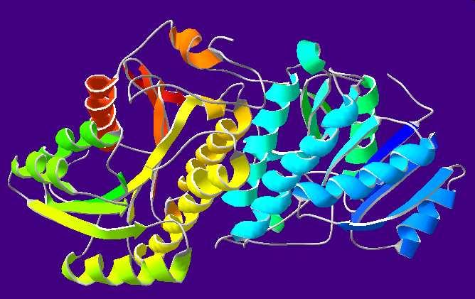 CYNK dehydrogenaza alkoholowa R