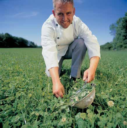 6 Mieszanki traw Zysk dzięki roślinom motylkowatym Mieszanka ForageMax zawierająca lucernę, koniczynę czerwoną lub/i koniczynę białą ma wyjątkowo cenne właściwości: Azot dla traw Rośliny motylkowate