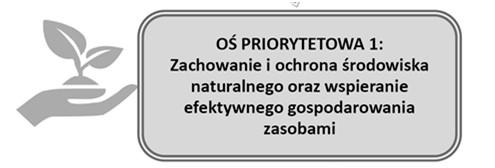 Cel szczegółowy 1.