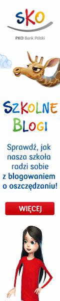 Narzędzia promocji Bannery internetowe Jeśli szkoła, w której pracujesz, posiada stronę