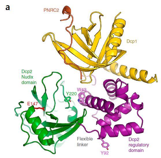 Biol. 23, 987 994