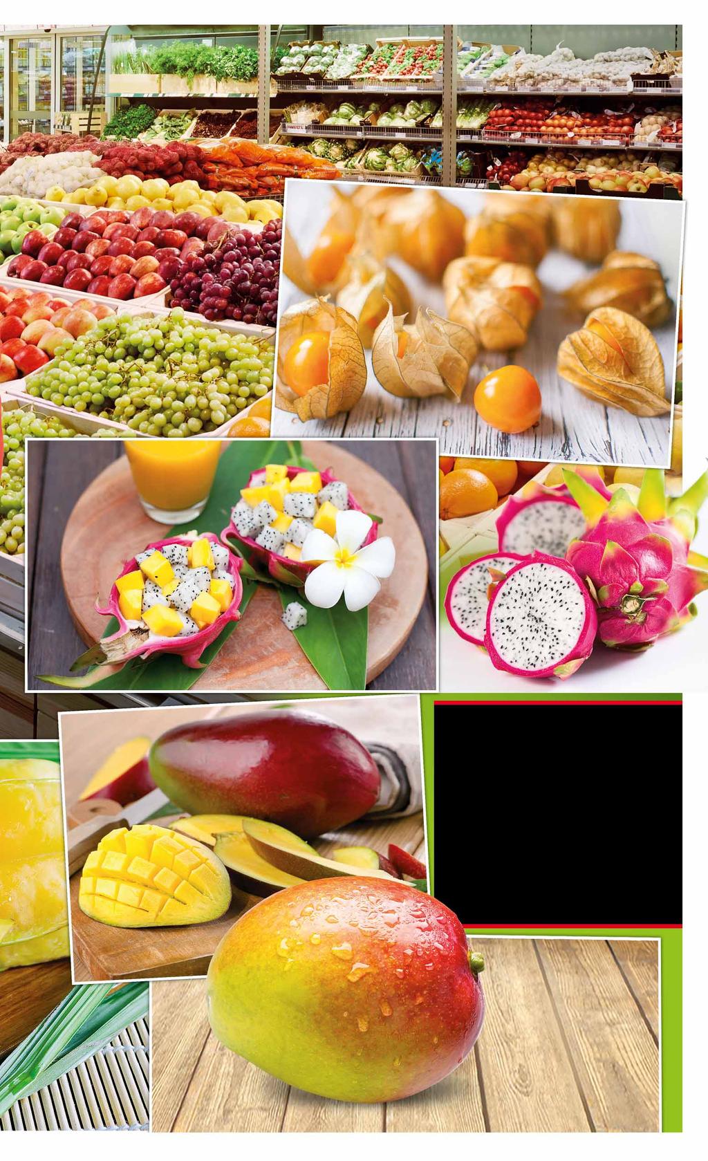 100 owoców i warzyw egzotycznych 15 produktów 15 rodzajów BIO pomidorów PHYSALIS KOLUMBIA kraj pochodzenia: Kolumbia pakowany po 100 g 61435962 2 77 1 opak. z VAT 2.