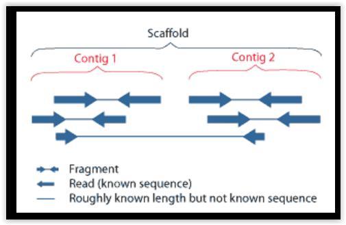 org/wiki/sc