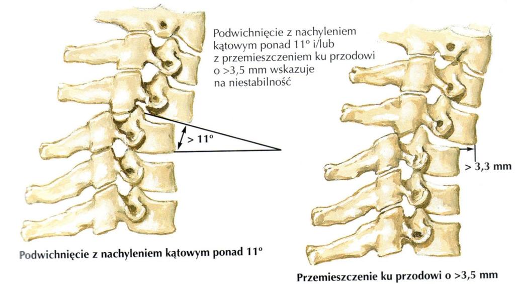 Wytyczne do