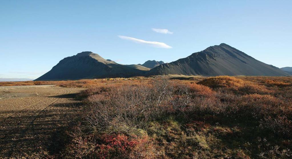 Leiguverð orlofshúsa og orlofsíbúða verð ur það sama og síð ustu fjögur sumur.