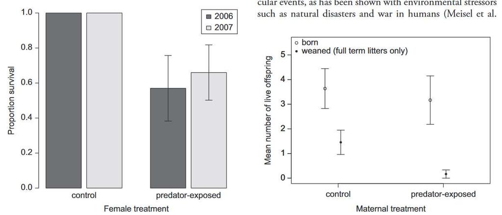 I. Niekonsumpcyjne efekty Zwiększenie śmiertelności Fear and lethality in snowshoe